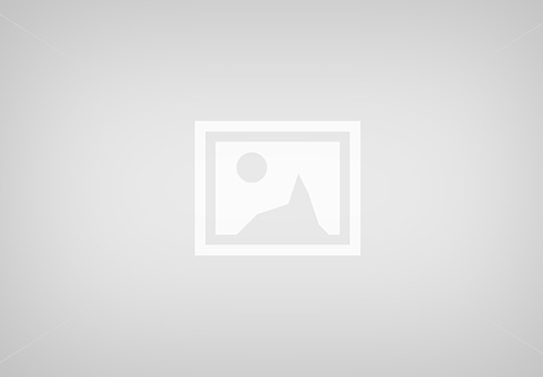 Category Sample Image